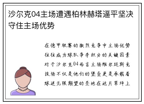 沙尔克04主场遭遇柏林赫塔逼平坚决守住主场优势