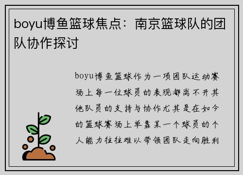 boyu博鱼篮球焦点：南京篮球队的团队协作探讨