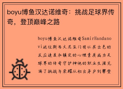 boyu博鱼汉达诺维奇：挑战足球界传奇，登顶巅峰之路
